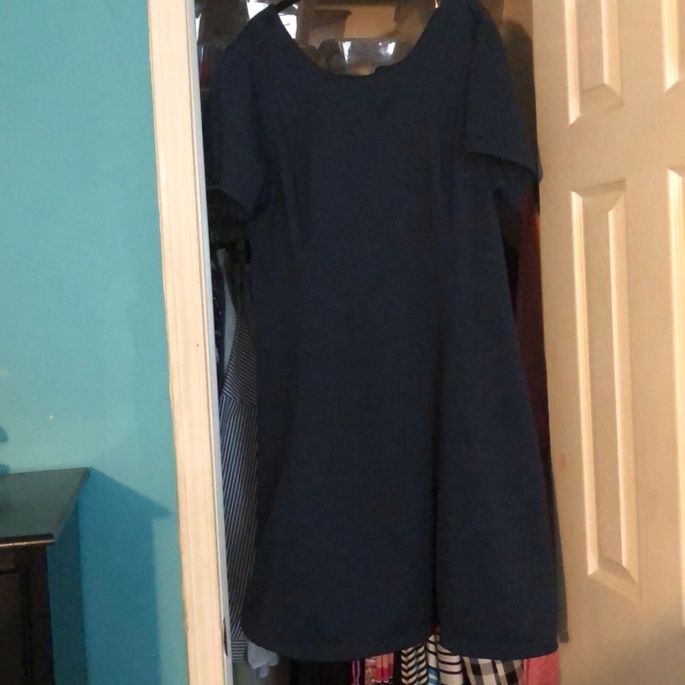 Navy blue fit and flare dress.